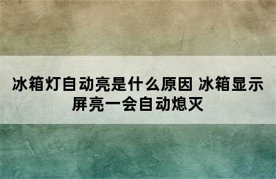 冰箱灯自动亮是什么原因 冰箱显示屏亮一会自动熄灭